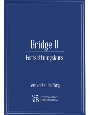 Bokomslag för Bridge B